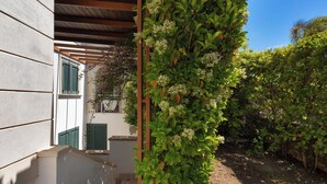 Un espace extérieur abrité, doté d’une pergola en bois, de plantes grimpantes et d’un mur en pierre.