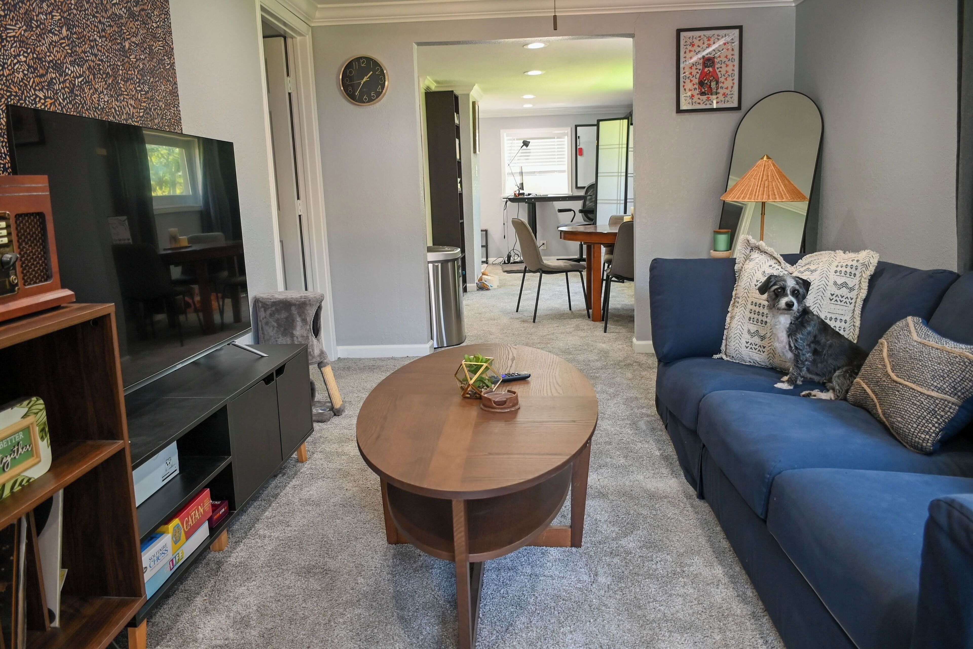 Smart TV, video games, books, music library