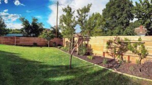 A residential backyard with a wooden fence, a lawn, and a small tree.