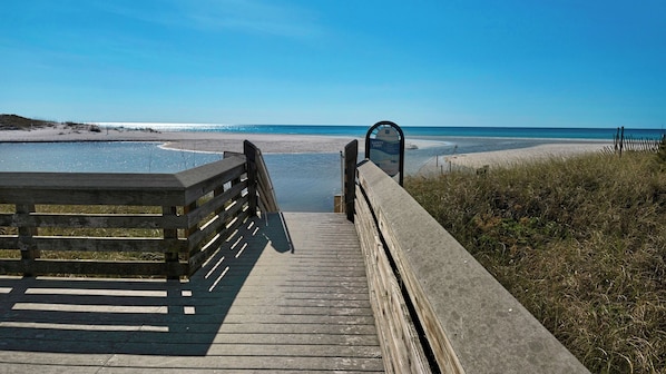 Nära stranden