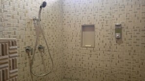 Regadera, regadera tipo lluvia, toallas, papel de baño 
