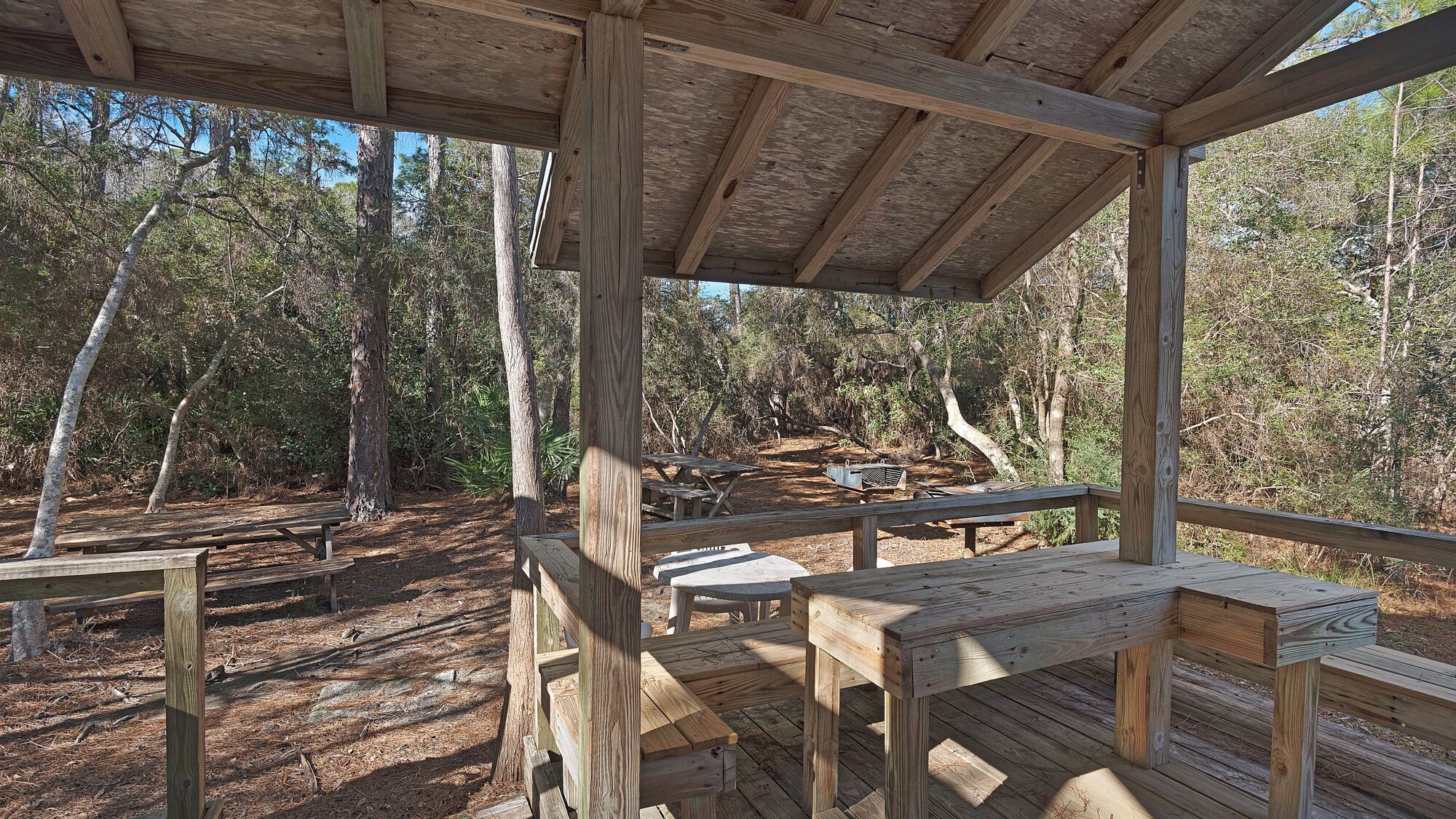 Una terraza de madera con mesas de picnic y bancos, rodeada de árboles.