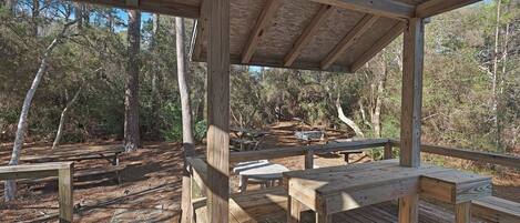 Una terraza de madera con mesas de picnic y bancos, rodeada de árboles.