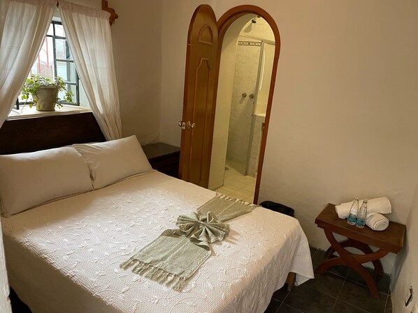 Down duvets, iron/ironing board, free WiFi - Hotel Jardín de Cervantes (Guanajuato)