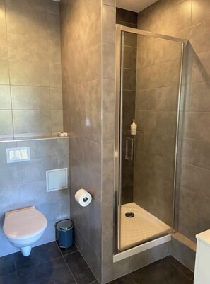 Bathroom - Apartment in Strasbourg (Strasbourg)