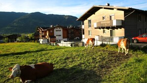 A rural setting with a house, cows grazing, and mountains in the background.