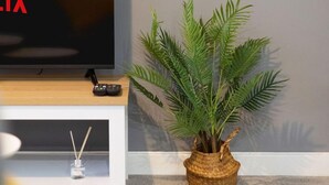 Un salon avec un téléviseur à écran plat, une télécommande, une petite plante et deux tableaux encadrés accrochés au mur.