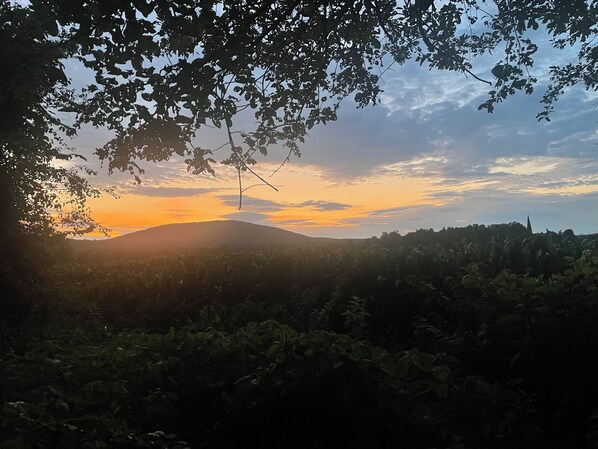 Un paysage avec un coucher de soleil, des arbres et une colline au loin.
