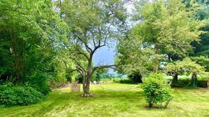 A lush garden with a large tree, a small bush, and a wooden bench. - Family home by Polo fields with great yard & game rm. EV charger, pet friendly! (Pine Plains)