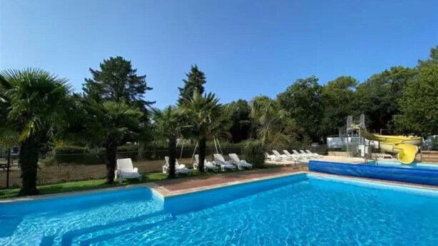 A swimming pool with clear blue water, surrounded by palm trees and lounge chairs.
