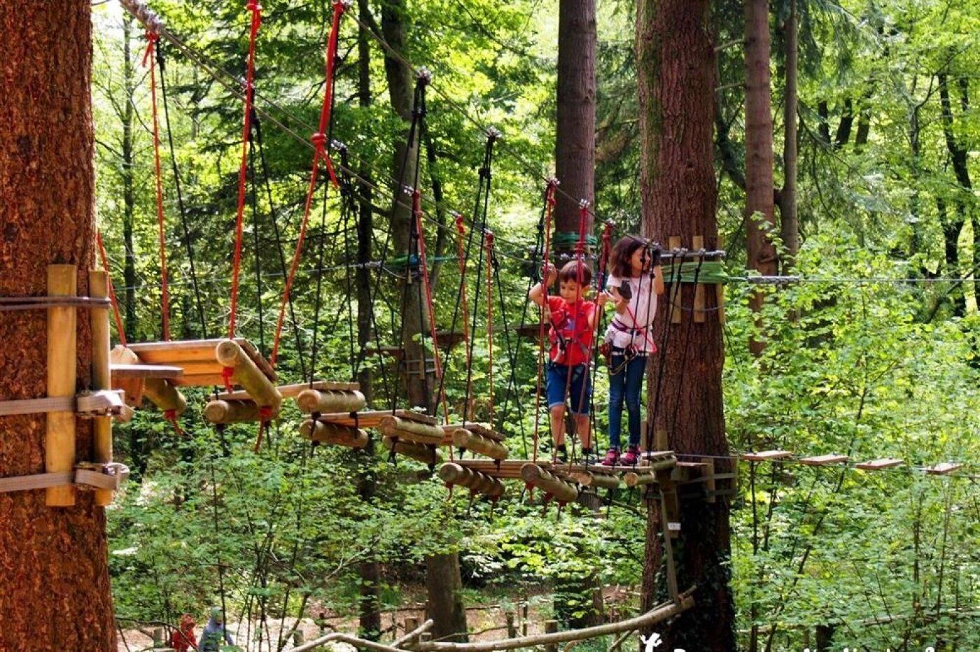 Ein bewaldetes Gebiet mit einer Hängebrücke und Holzplattformen.