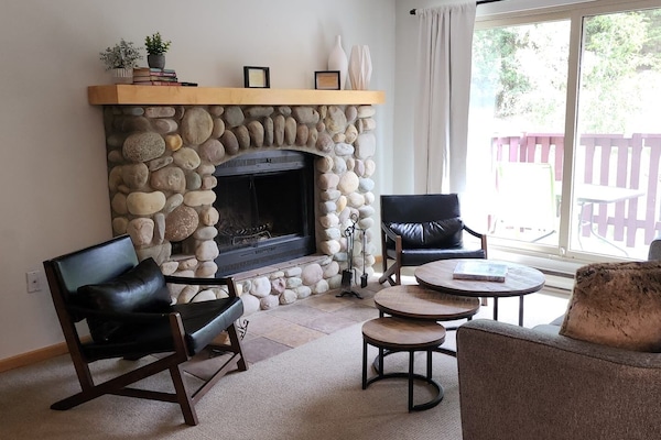 Smart TV, fireplace, books