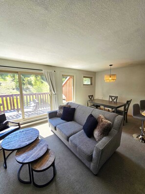 Smart TV, caminetto, libri