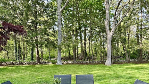 Une table en bois installée à l’extérieur, avec des chaises, entourée d’une pelouse et d’arbres.