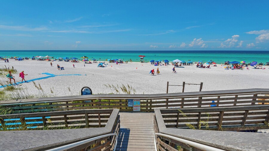 The Salty Dog on 30a: Modern Updates, 1 Minute to the Beach!