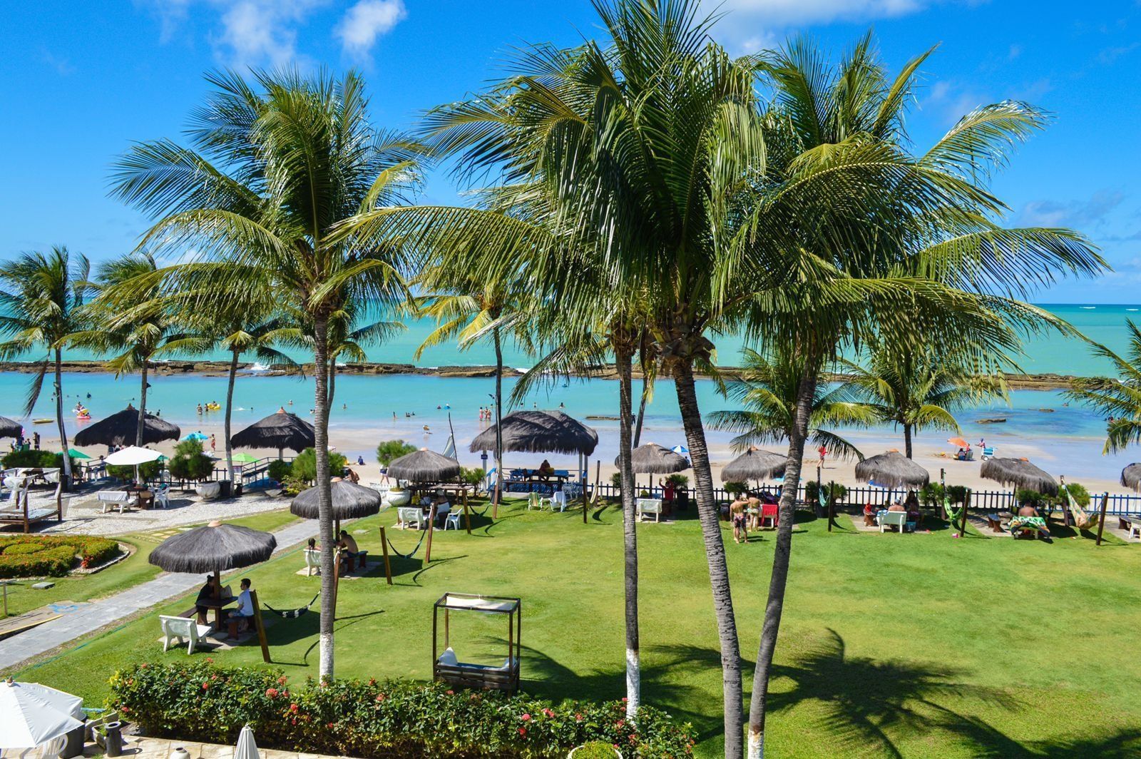 A resort with a beach view, palm trees, and thatched umbrellas.