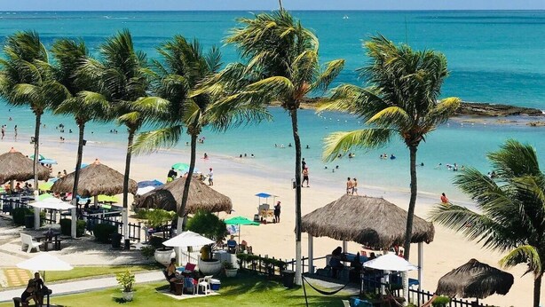A beach with palm trees, thatched umbrellas, and a clear blue sea. - Marinas Tamandaré próximo à Carneiros  (Tamandaré)