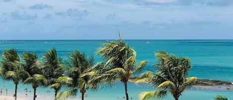 エコノミー アパートメント | ビーチ | ビーチの近く