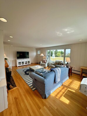 Smart TV, chimenea y libros 