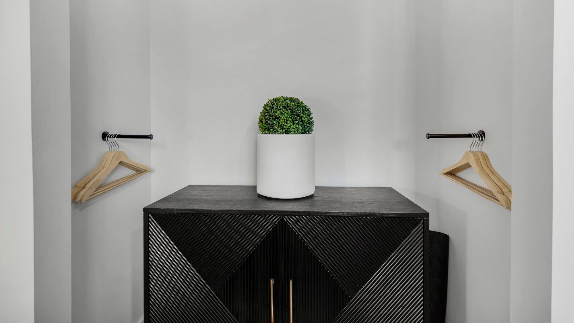 A minimalist room with a black cabinet, a white planter with a small green plant, and wooden hangers on the wall.