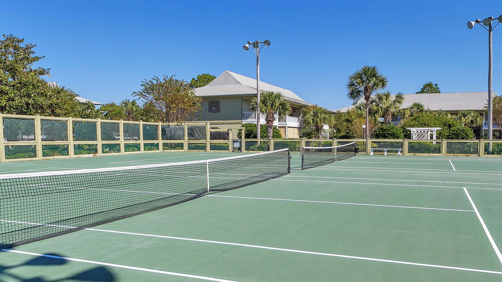 A tennis court with a net, surrounded by a fence and palm trees.