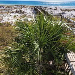 Condo, Multiple Beds, Balcony, Ocean View (Commodore's Retreat 104) | Beach/ocean view