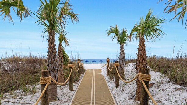 A sandy pathway leading to beach chairs under palm trees. - Moondrifter Condominiums (Panama City Beach)