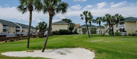 Un campo de golf con bunkers de arena y palmeras, rodeado de edificios de varios pisos con balcones.