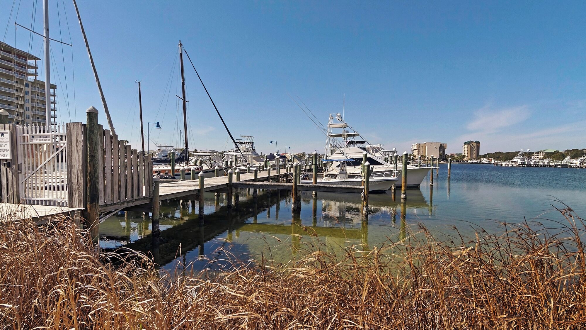 A marina with boats docked, a wooden pier, and a cityscape in the background.
