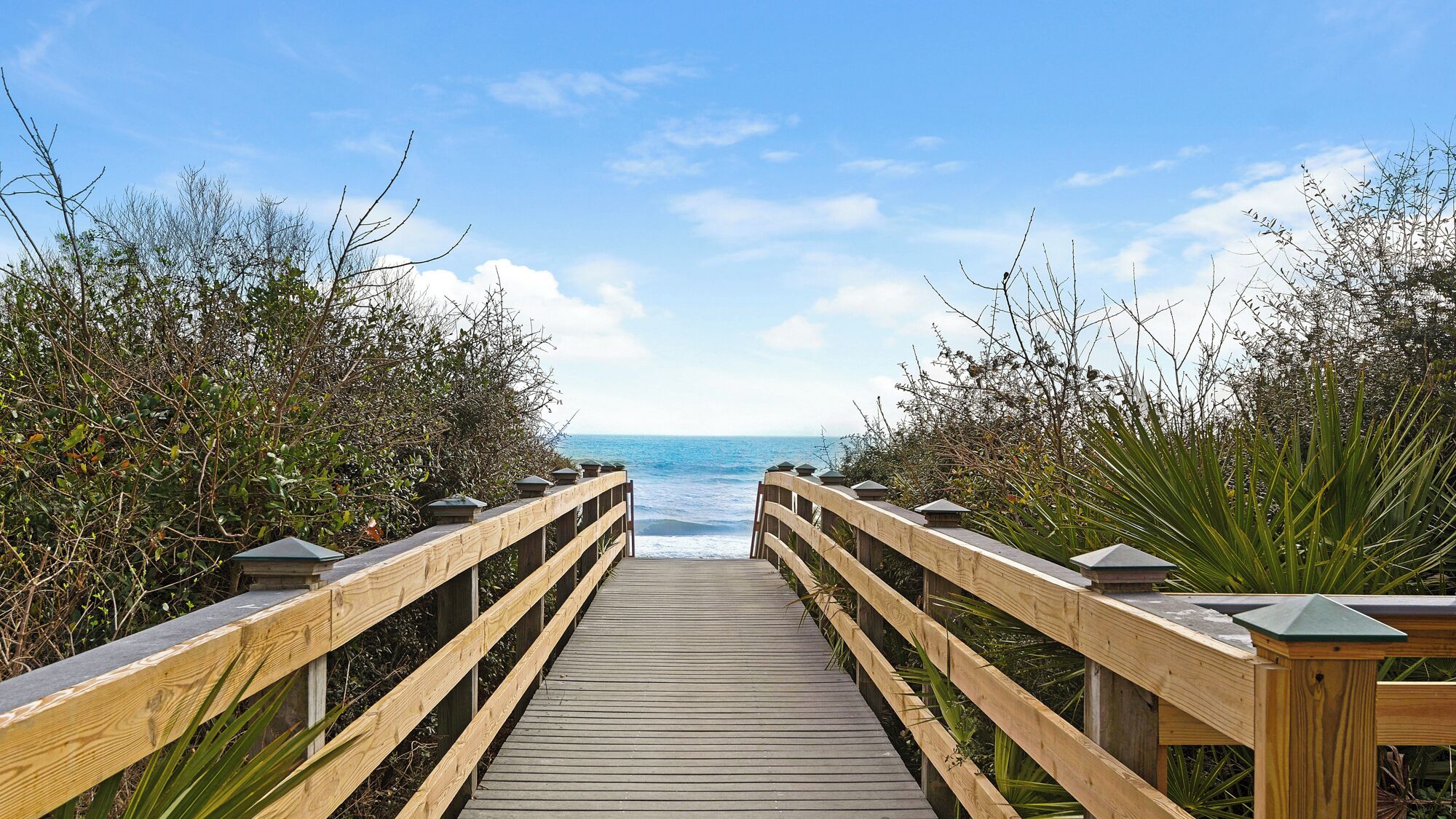 A wooden boardwalk leading to the ocean, flanked by dense foliage and a clear sky.