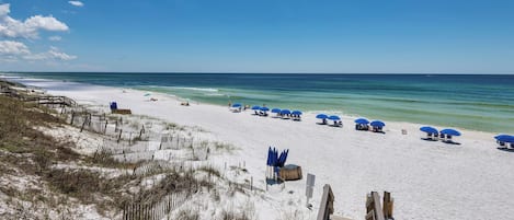 在海灘附近