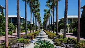 A pathway lined with palm trees and benches, leading to a building with a white roof.