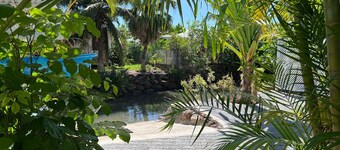 MOOREA - Fare Manoa Mahana