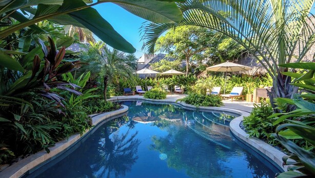 A pool surrounded by lush tropical plants and lounge chairs. - Villa Tayrona (Bucerías)