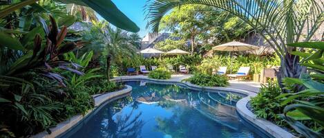 Una piscina al aire libre, sombrillas, sillones reclinables de piscina