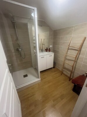 Regadera, secadora de cabello, papel de baño