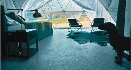 Dome 6: Groovy Green Oasis