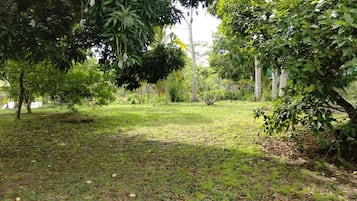 Área de parrilladas y picnic