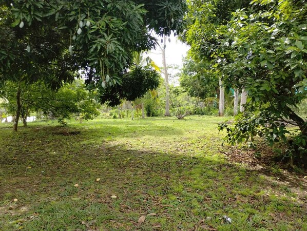 Aire de pique-nique/barbecue