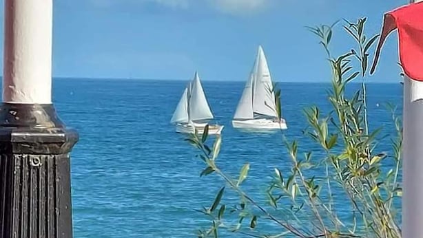 Udsigt til havet med to sejlbåde, en trægelænder og blomster i forgrunden.