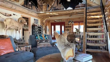 TV connectée, cheminée