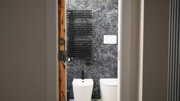 Shower, hair dryer, bidet, towels