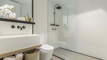 Shower, hair dryer, towels, soap
