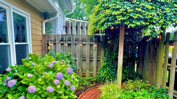 A garden with a brick pathway, wooden fence, and various plants including hydrangeas. - The Perky Pineapple; Quiet Ranch; 2 King Beds; Well Appointed; Centrally Located (Raleigh)