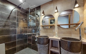 Shower, hair dryer