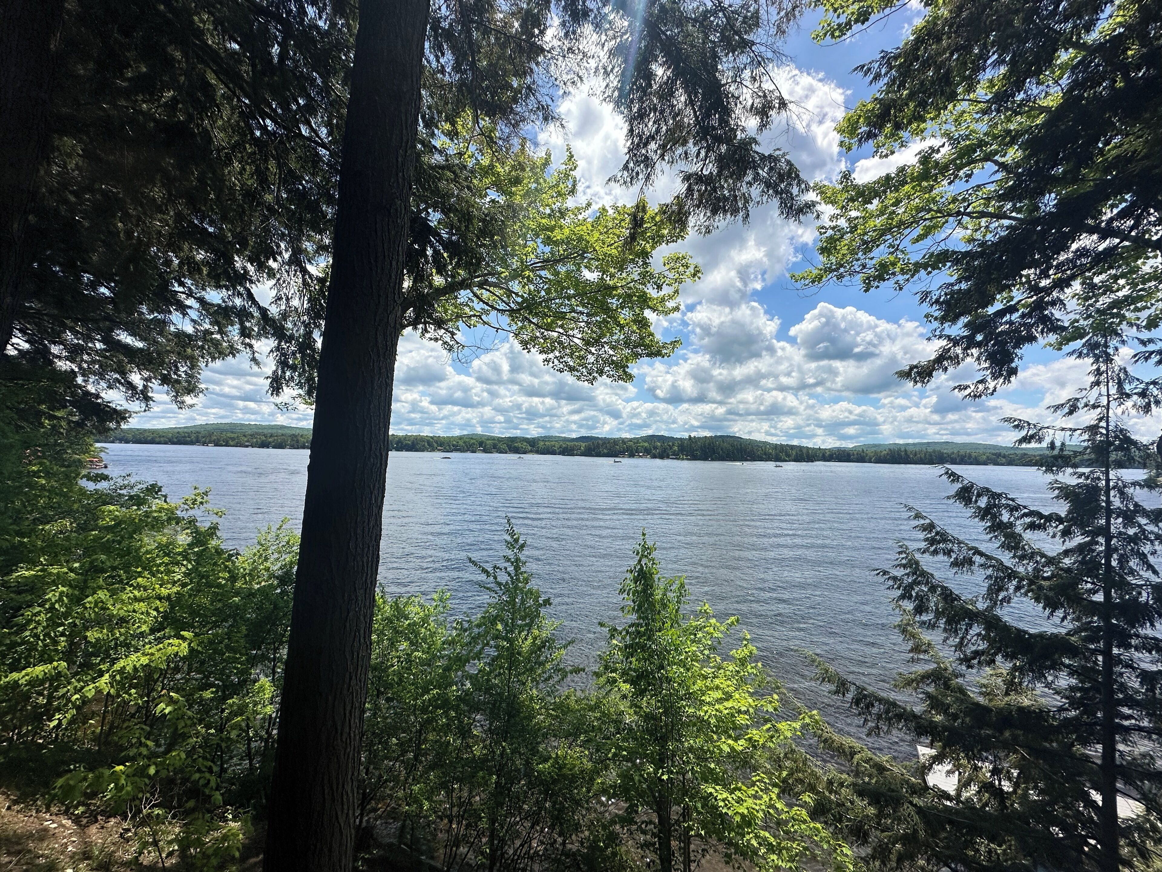 Relax Lake Front 2-night minimum. Dogs welcome.