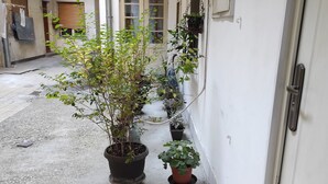 A narrow alleyway with potted plants and a door.