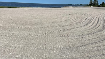 海灘