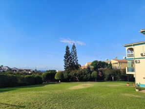 A residential area with a well-maintained lawn, a tall coniferous tree, and a building with a balcony.