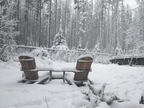 A bench covered in snow with a forest in the background. - Rattlesnake Lake Area Cedar Cabin.  Direct Access to Trails. Pet Friendly. (North Bend)